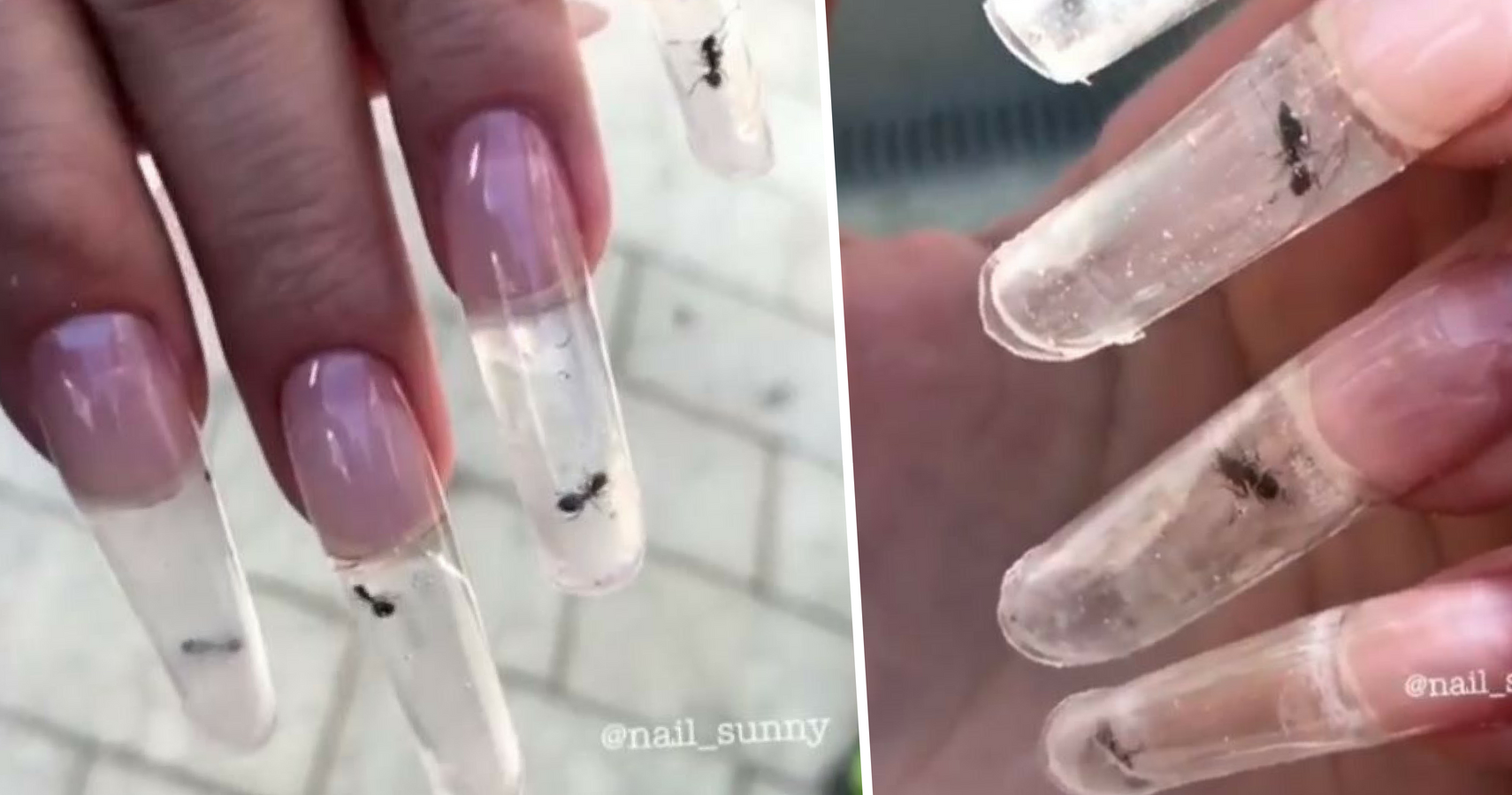 Nail Artist Creates Unique Manicure Using Live Ants