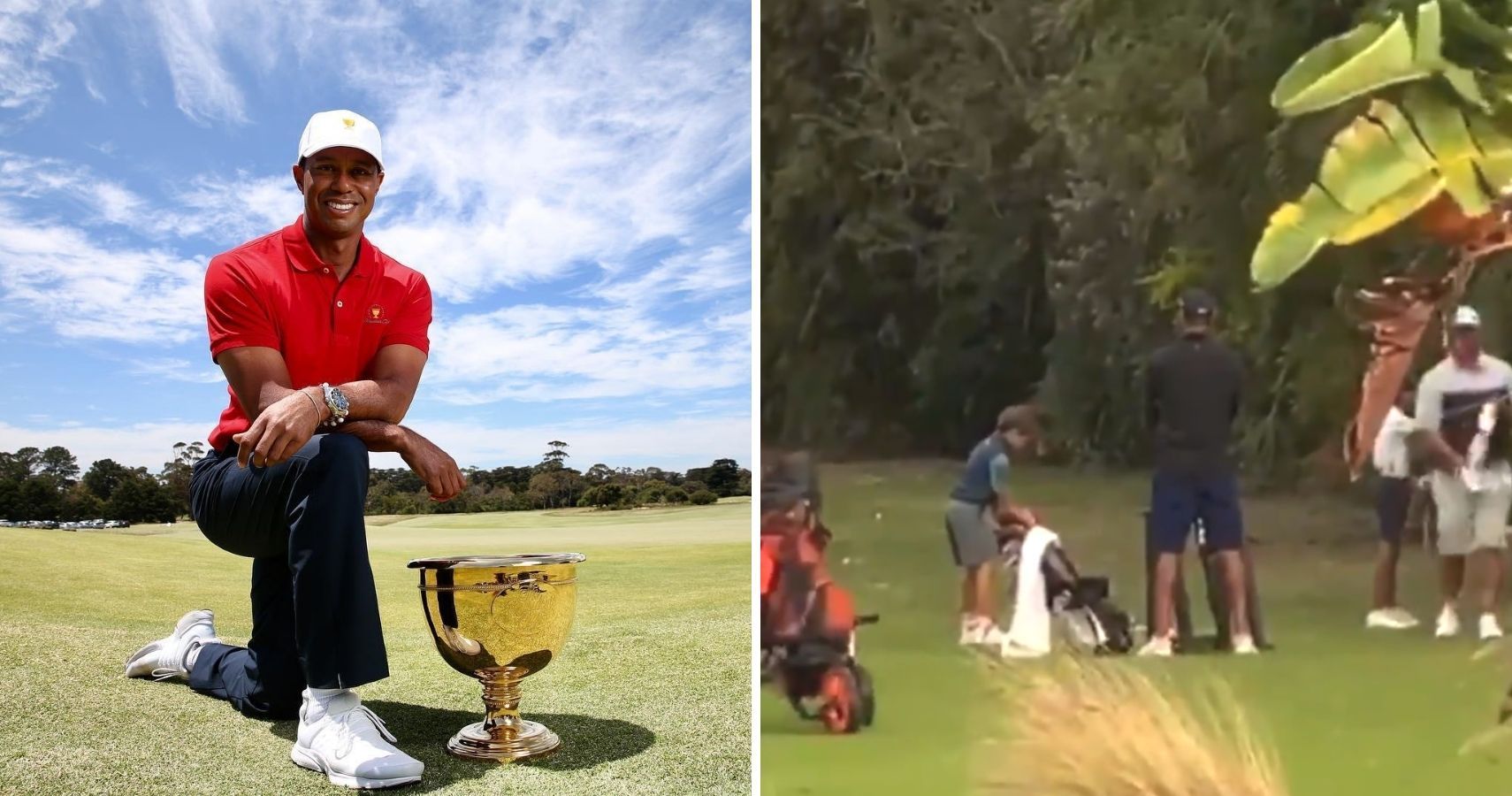 Tiger Woods' Son, Charlie, Wins Junior Golf Tournament | Moms.com